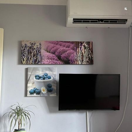 Kreation Rainbow Appartement Cluj-Napoca Buitenkant foto