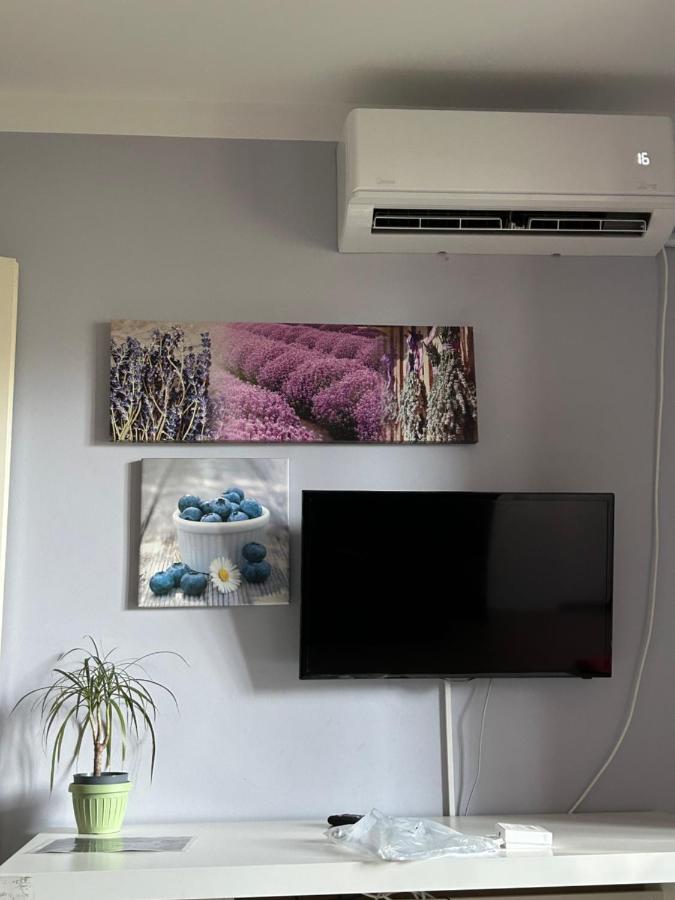 Kreation Rainbow Appartement Cluj-Napoca Buitenkant foto